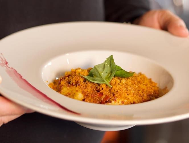 Bracere - Venosa - 7