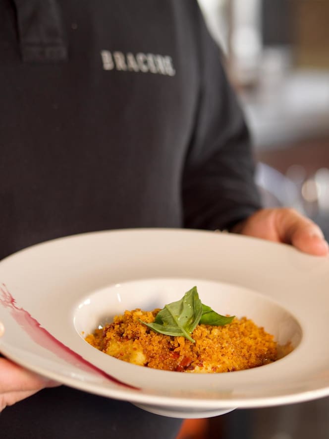 Bracere - Venosa - 0