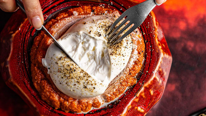 Magmatic by Ephemera - Lille - 4