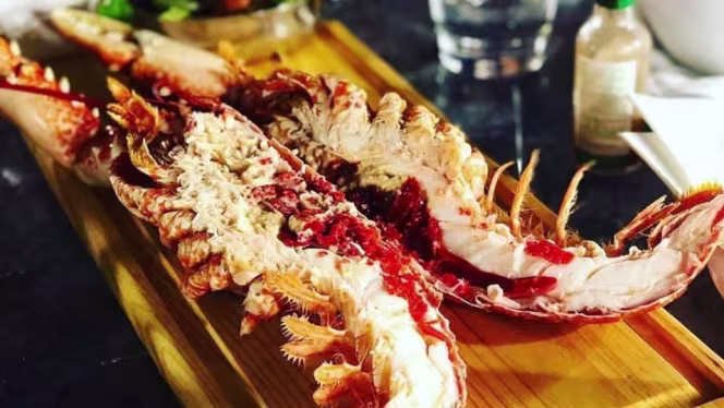 Cais ao Mar - Algarve - 4