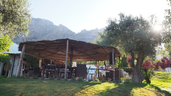 Alqueria de Los Lentos - 4