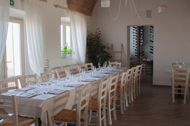 Fattoria L'Olmetto - 6