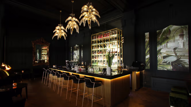 Bahia Mediterraneo - Palma - 6