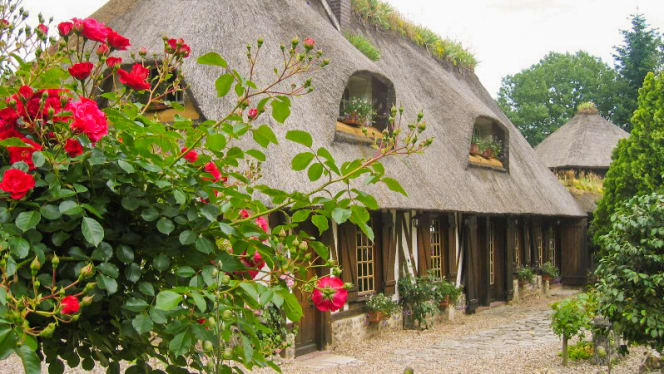 Le Petit Coq aux Champs - Campigny - 8