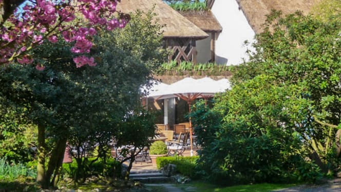 Le Petit Coq aux Champs - Campigny - 6