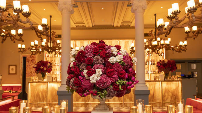 Cibrèo Ristorante & Cocktail Bar - 5