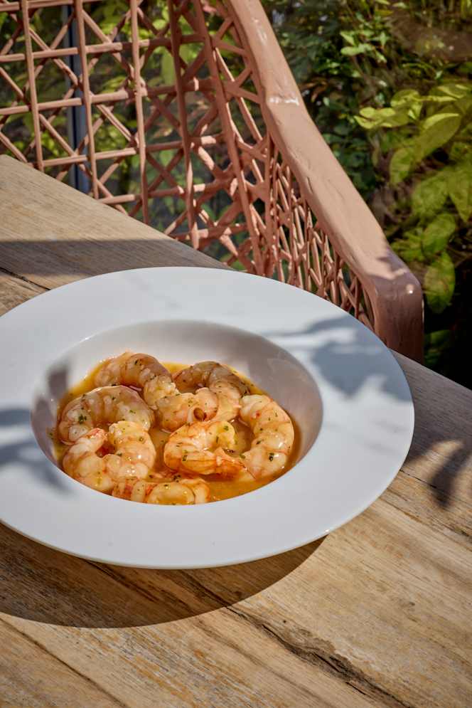 Azotea del Circulo - 1