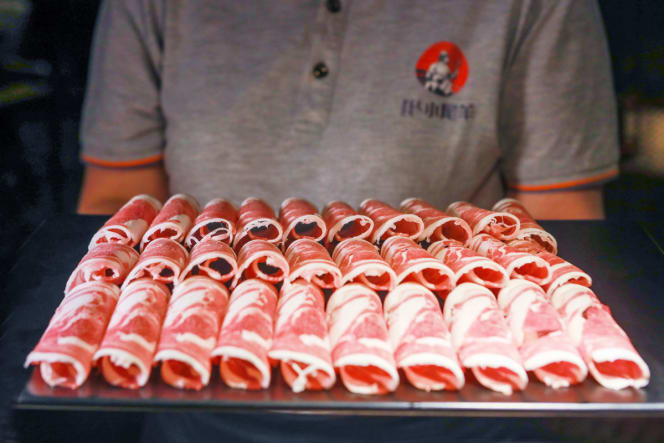 Little Lamb Bernina - 1