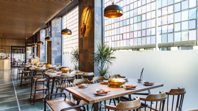 Little Lamb Bernina - 8