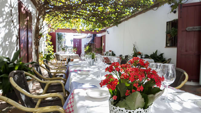 Cortijo del Arte - Hotel Cortijo del Arte - 5