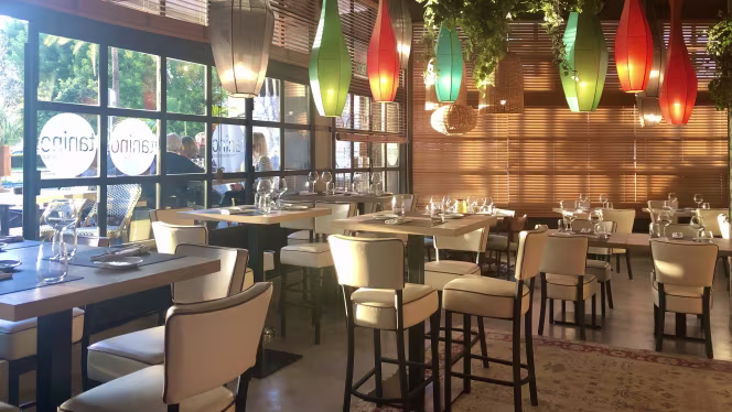 Tanino San Pedro - 9