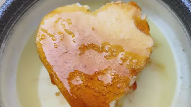 La Propriété Française - 1