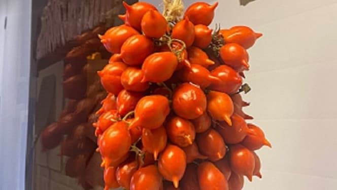 Dado Pizzeria Gourmet - Genova - 3