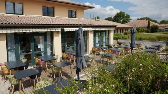 La haie des vignes - 2