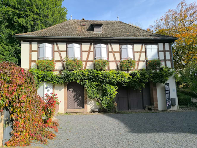 Le Caveau de la Folie Marco - 5