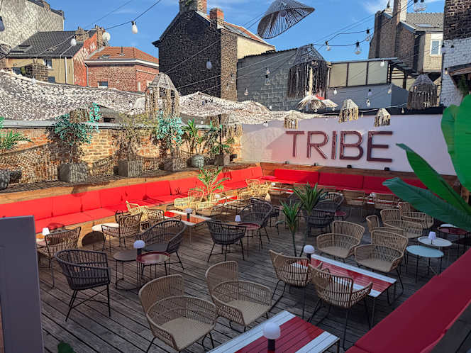 Tribe - 1