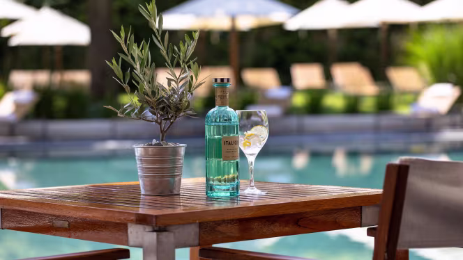 Poolside at InterContinental Genève - 4