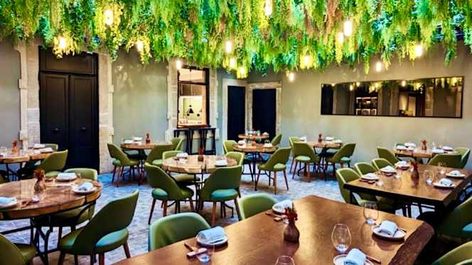 Botânico Restaurante & Bar - 9