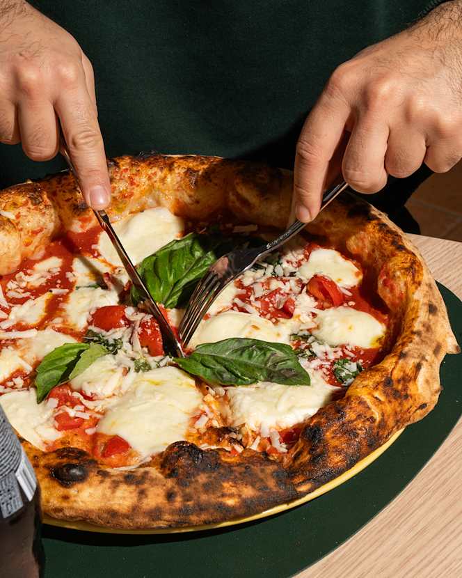 Verdevasinicola - 1