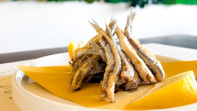 Ferro'S Pizza e Cucina Ligure - 5