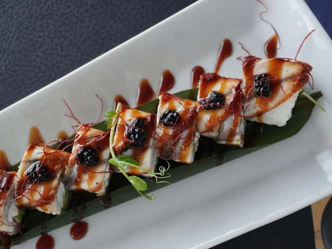 Sushi Shark - 5