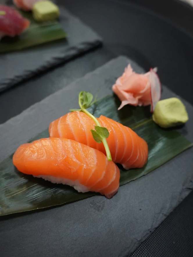 Sushi Shark - 9