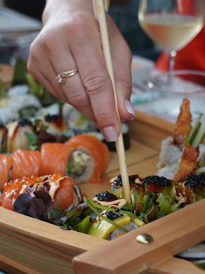 Sushi Shark - 3