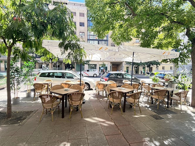 Singular de Narváez - 7