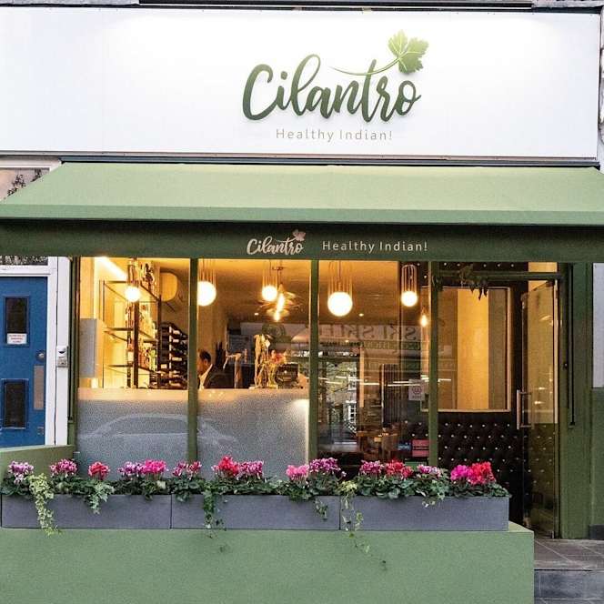 Cilantro - Putney - 9