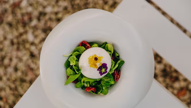 Rosario Lounge - Los Delfines - 8