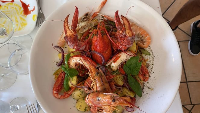 Palatoraffinato Monteporzio - 7