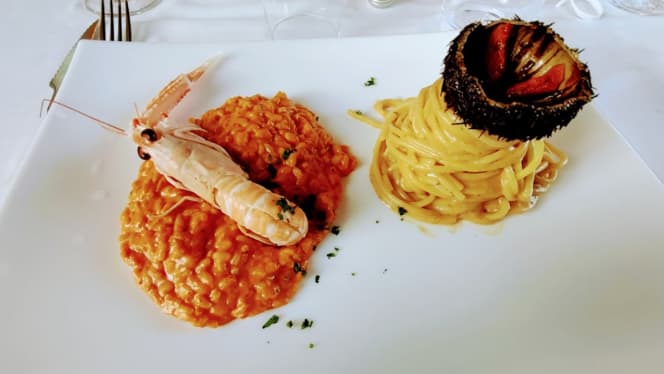 Palatoraffinato Monteporzio - 4