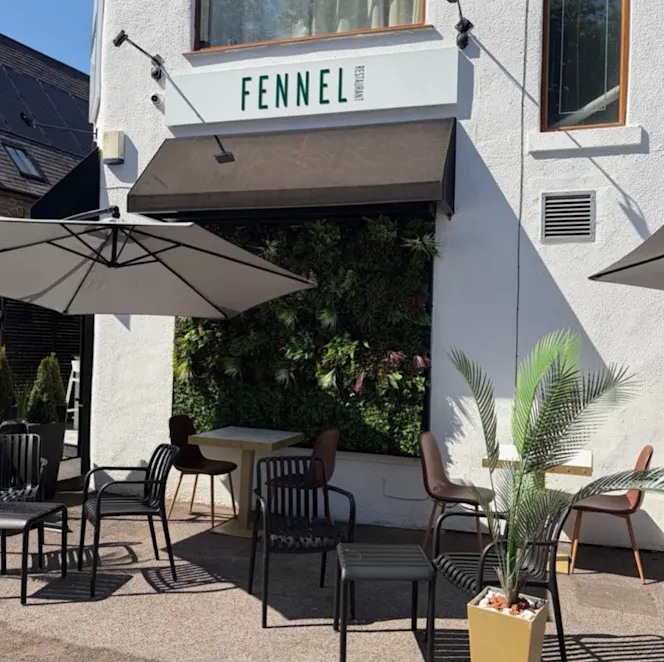 Fennel - 0