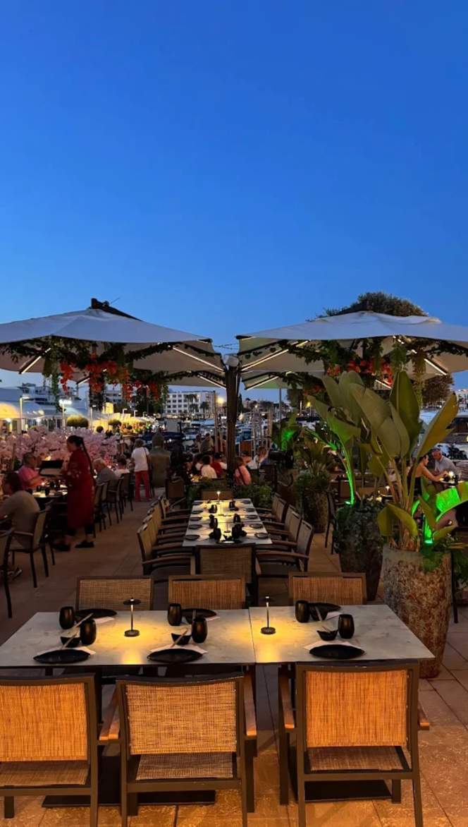 Bonsai Ibiza - 0