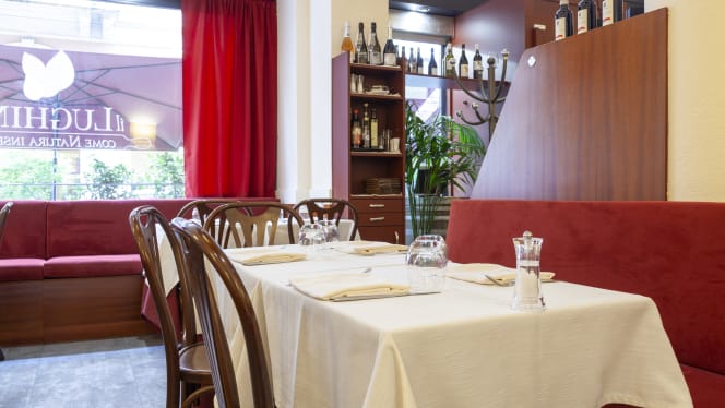 Il Lughino, come Natura Insegna (Viale Solferino) - 3