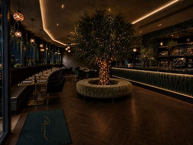 Charcoal Bar & Grill - 0