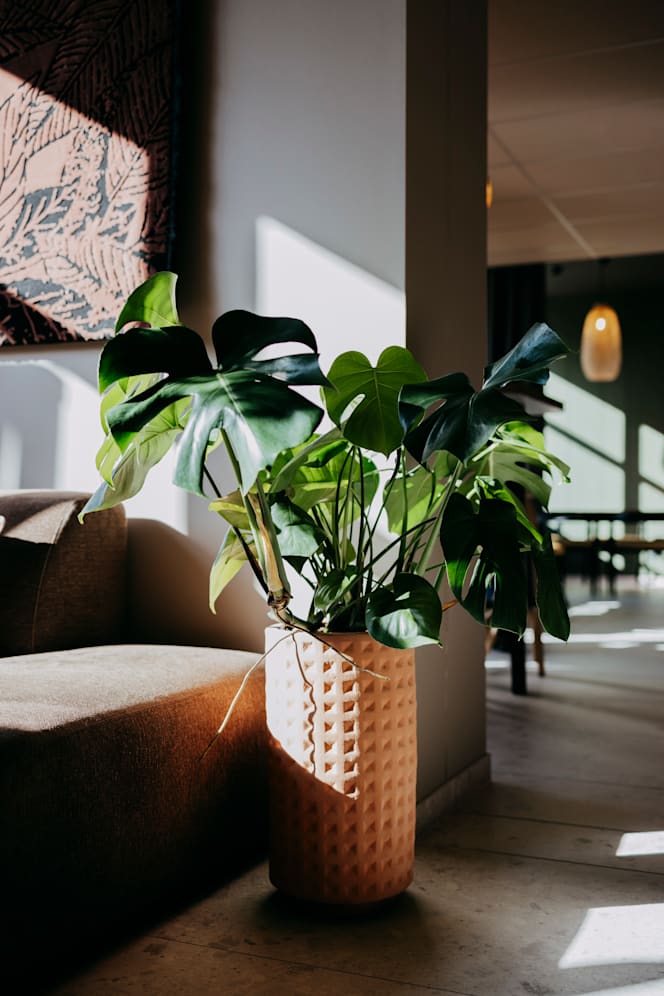 Le Patio - Oceania Hotel Lyon - 5