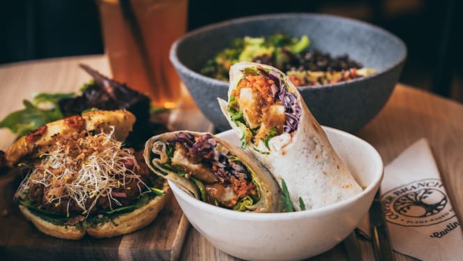 Copper Branch Rotterdam - 9