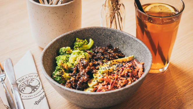 Copper Branch Rotterdam - 6