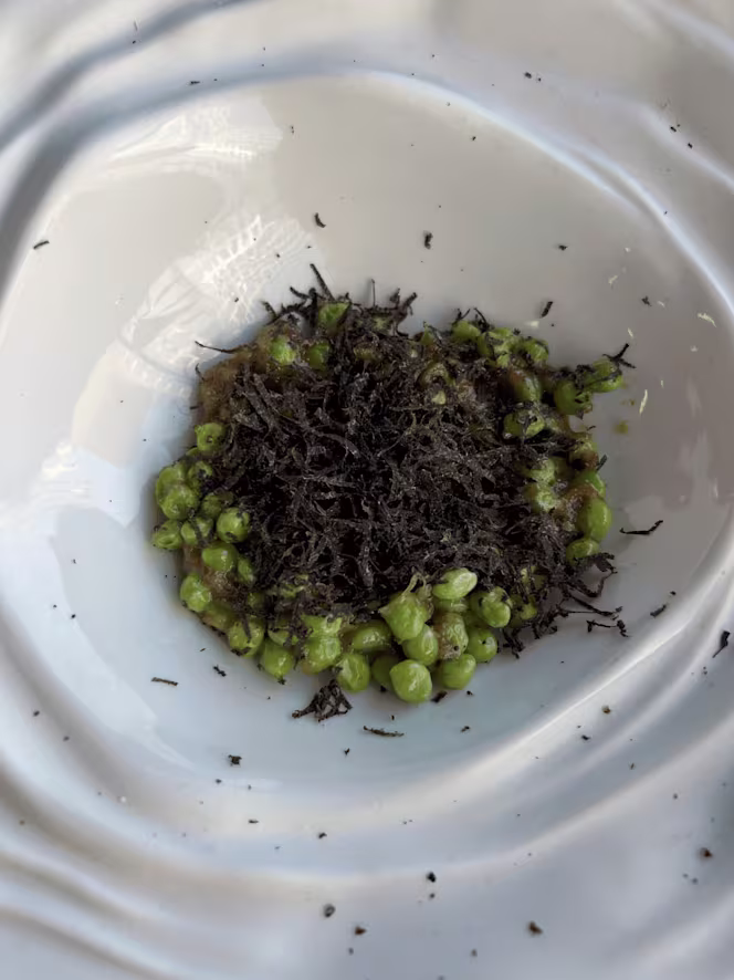 Instint Restaurant - 1