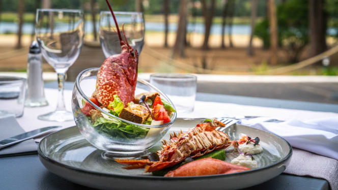 Lacotel - Soorts-Hossegor - 3