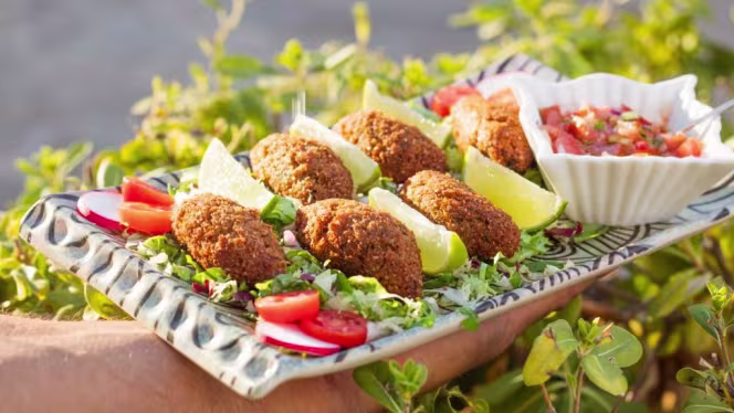 Jungle Bistro Ibiza - 6