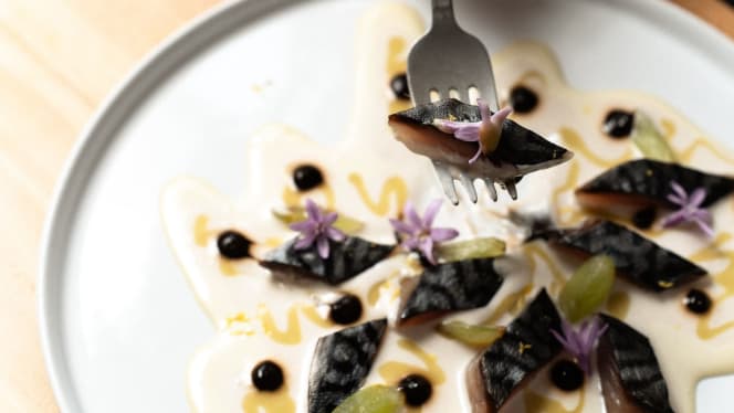 Insolent - Barcelona - 4