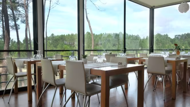 São Lourenço by Trincanela - 6