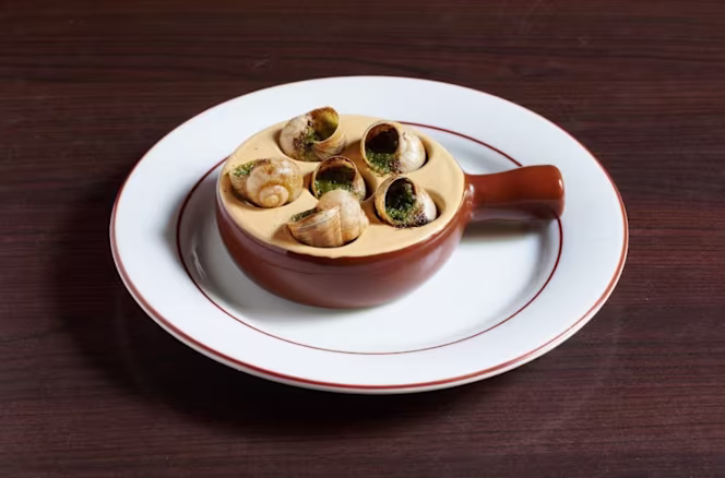 Solluna Faidherbe - 4