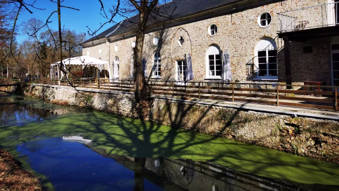 Domaine de la Marsaudière - Chevry-Cossigny - 4