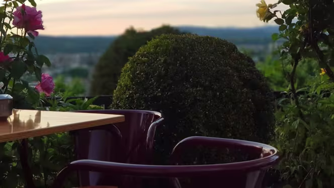 Quinta das Queimadas - 4