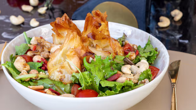 Janette Experience - 5