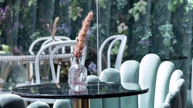 Janette Experience - 0