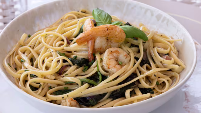 Janette Experience - 3